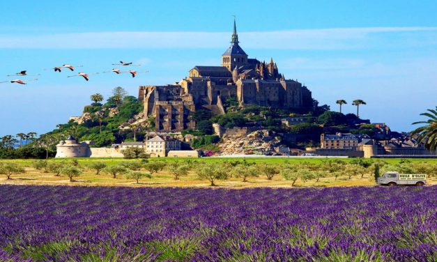 Paris faces up to record surge in temperatures