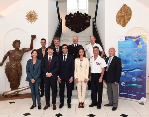 Pelagos sanctuary partners celebrate twenty years