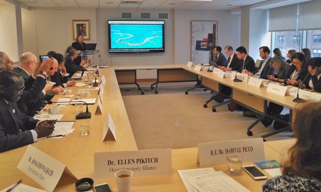 Gap in Marine Protected Areas highlighted at Permanent Mission to UN