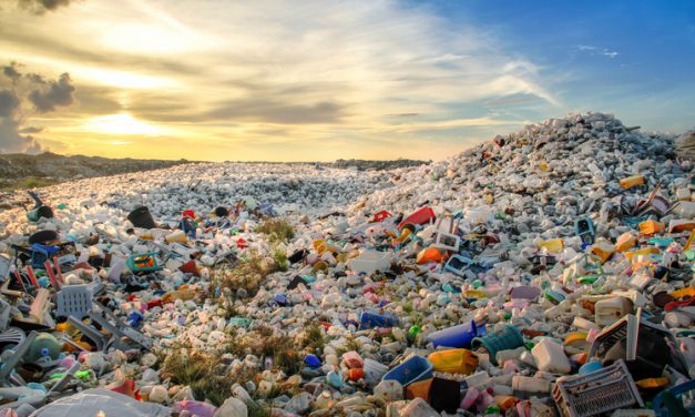 More items banned in fight against plastics in Monaco