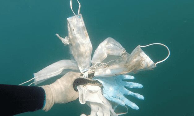 Glittering sea masks new pollution hazard