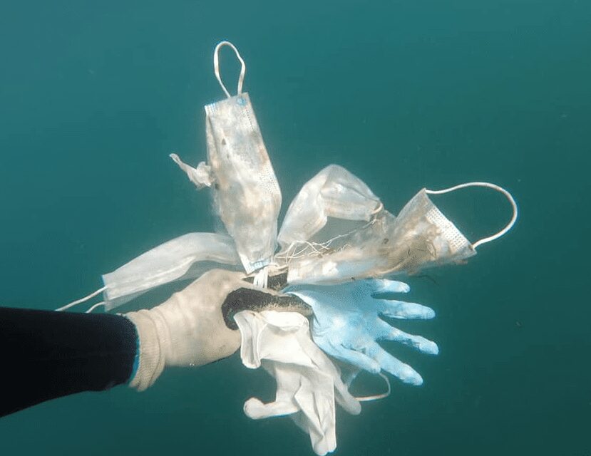 Glittering sea masks new pollution hazard