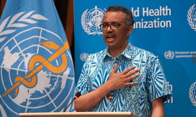 Monaco takes part in 73rd World Health Assembly