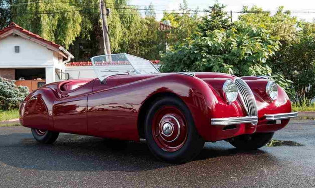Glorious Jaguar to be auctioned this month