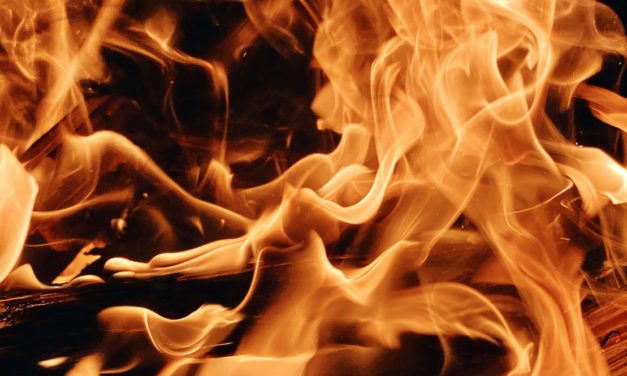 Monaco fire service called to series of bin fires that may be drug connected