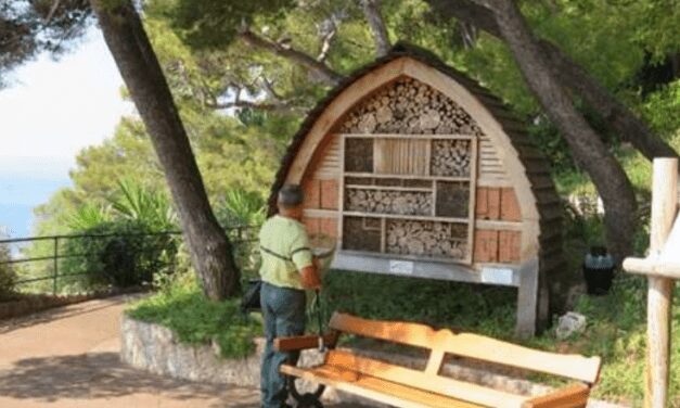 Monaco plays its part in bee protection