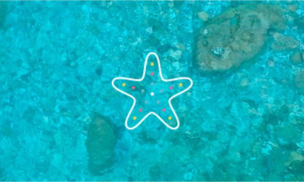 Tickets now available for Monaco Ocean Protection Challenge Grand Finale