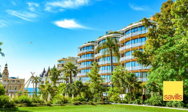 SPECIAL FEATURE: New developments of Monaco