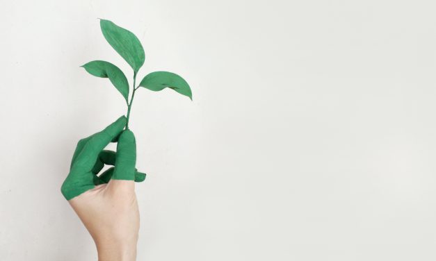 CMB Monaco’s shareholder included in MIB ESG Index