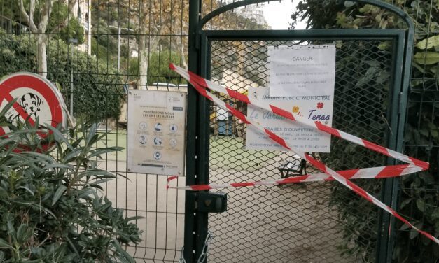Asian hornets’ nest closes Beausoleil playground