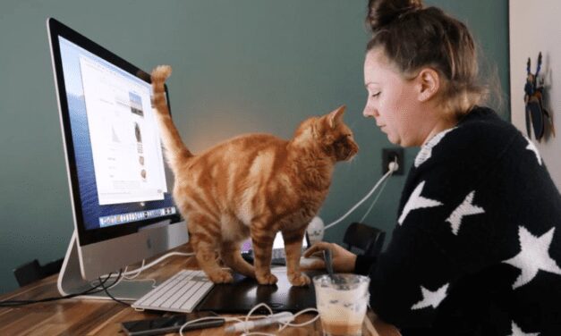 WFH compulsory from Friday, December 31