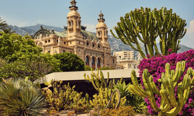 Ten things you (maybe) didn’t know about 2021’s record-breaking property market – presented by Icon Property