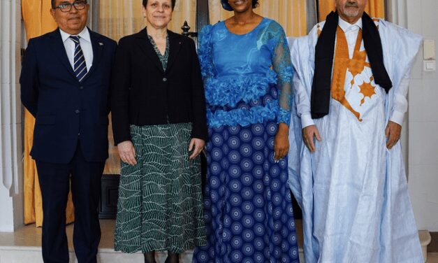 New ambassadors present credentials