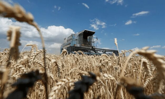 Gathering storm of economic fallout after attack on Ukraine