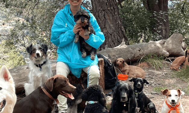 Karen September: Dogs need more than love to be happy