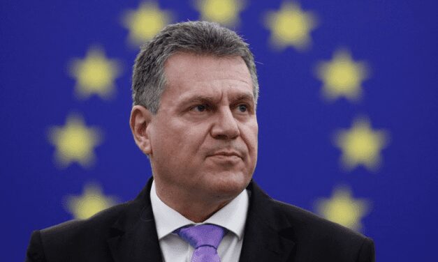 EU Vice-President remarks on Association progress
