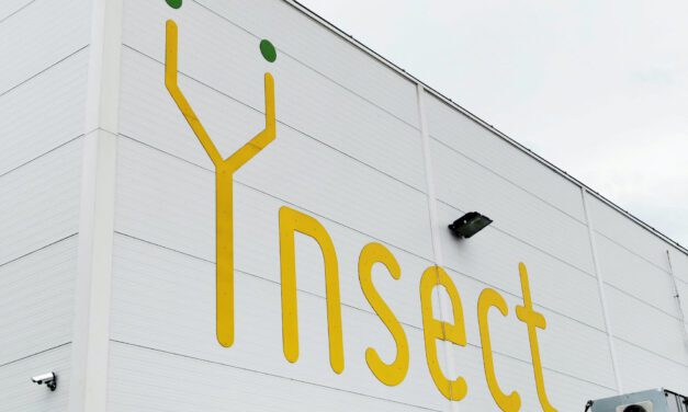 Industrial insect farmer set to raise more funds for growth