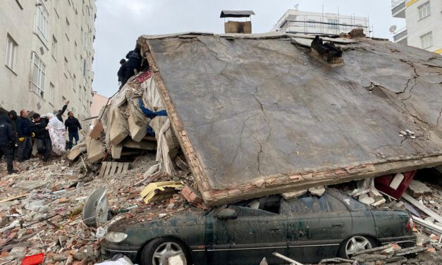 Urgent Red Cross appeal for victims of Turkey and Syria earthquake