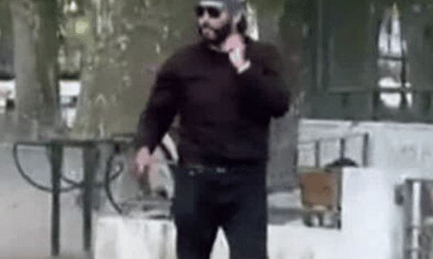 Syrian asylum seeker stabs toddlers, including one British, one Dutch, in French park