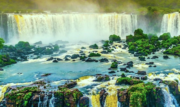 Save the Rainforest Networking Event to be hosted by Club Vivanova