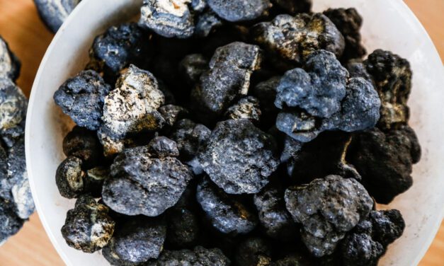 Monaco joins list of 20 countries calling for deep sea mining moratorium