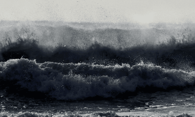 Alpes-Maritimes on Orange Alert for high winds