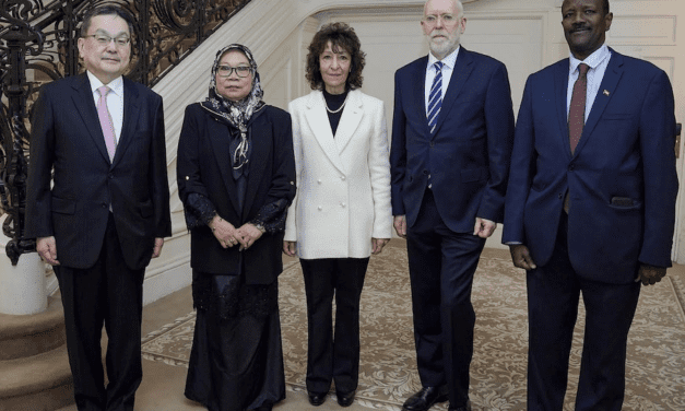 New Ambassadors accredited from Japan, Finland, Sudan and Brunei