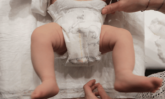 Unanimous support for maternity leave for self-employed workers