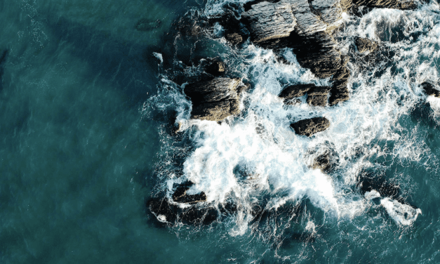 Three themes for Monaco Blue Initiative this month