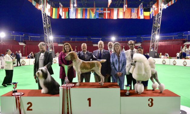 Record figures expected for Exposition Canine Internationale Monaco 