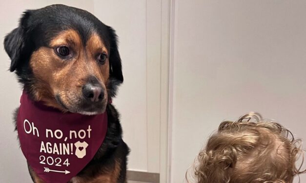 Louis and Marie Ducruet announce arrival of second child