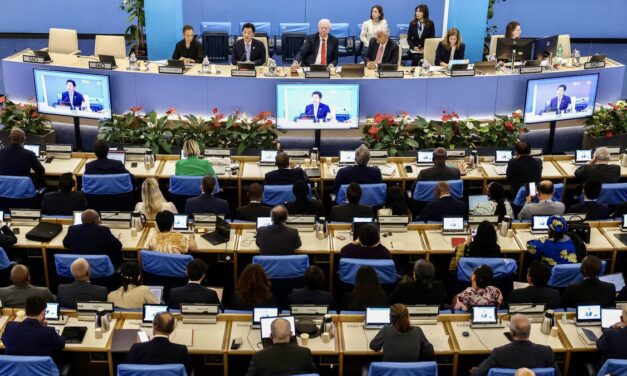 Monaco Participates as Observer in FAO Council’s 175th Session