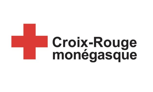 Prince Albert attends 34th International Red Cross Conference in Geneva