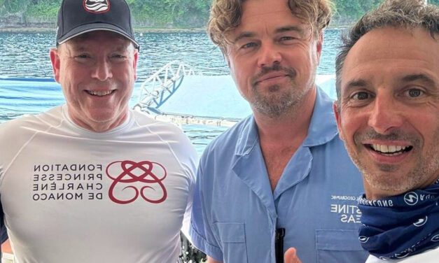 Titanic effort as Prince Albert and Leonardo DiCaprio dive deep to save the oceans