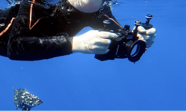 Monaco Leads the Way in Marine Conservation as RAMOGE Presidency Passes to Italy