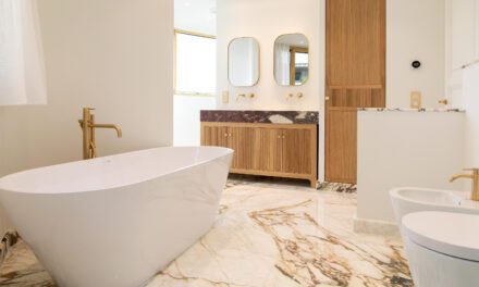 RENT – PAVILLON MAURICE – 65k € PER MONTH