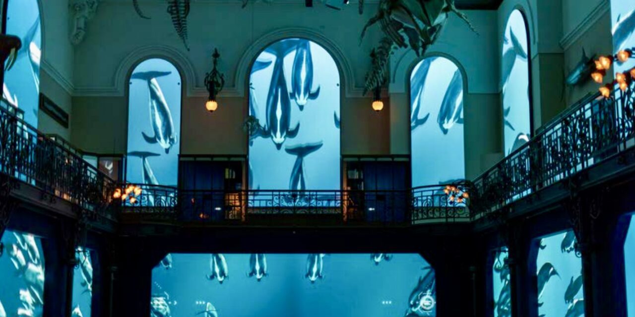 Oceanographic Institute launches ‘Mediterranean 2050’ exhibition