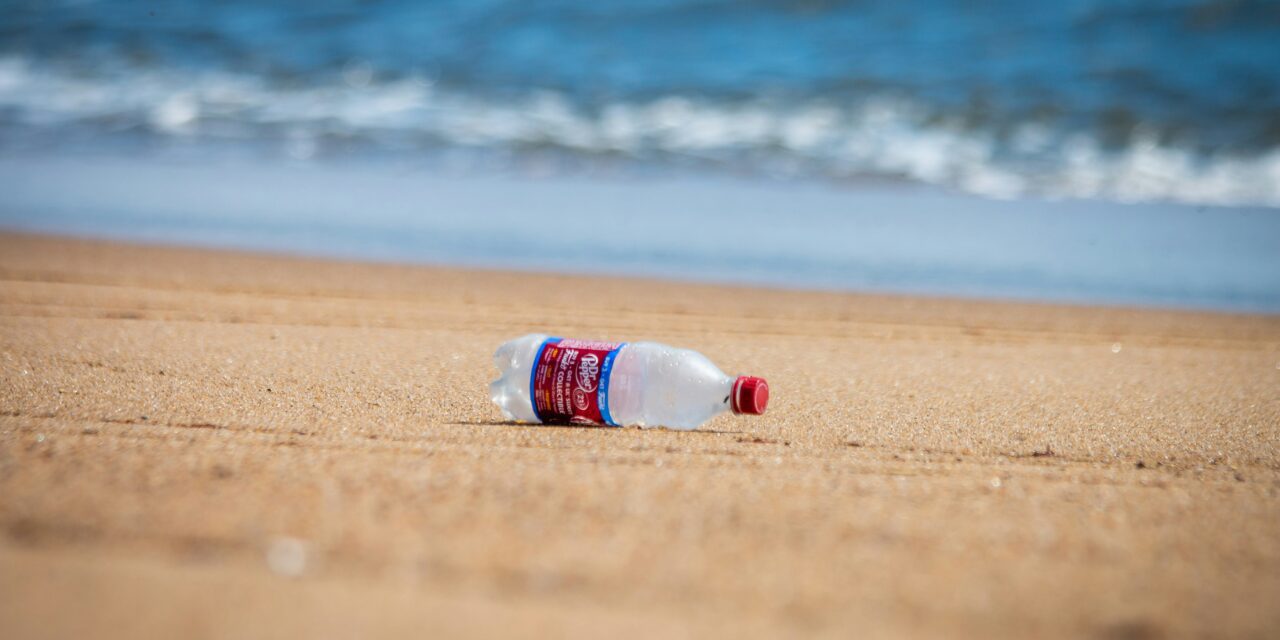 Fourth edition of the Olympian Clean Up promotes environmental awareness and Olympic values