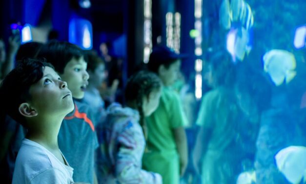 Future ocean guardians gather in Monaco as ‘Oceano pour Tous’ expands across the Mediterranean