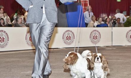 Top dogs return to Monaco for record-breaking 2025 show