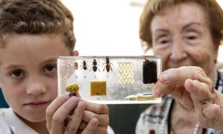 Green thumbs, shared roots: Garden project bridges generations in Monaco