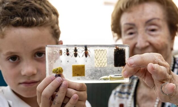 Green thumbs, shared roots: Garden project bridges generations in Monaco