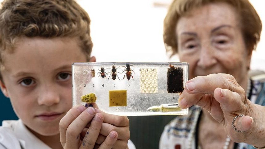 Green thumbs, shared roots: Garden project bridges generations in Monaco