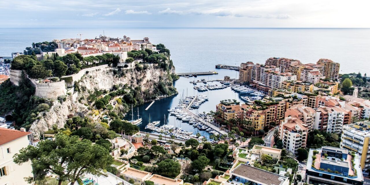 Monaco updates business classification system to reflect digital age