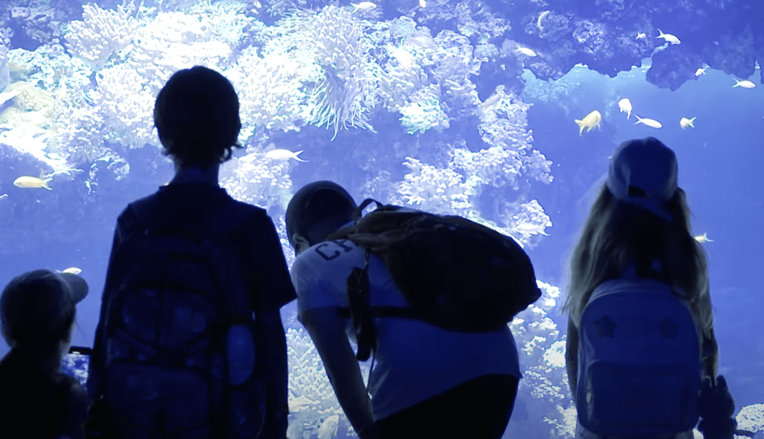 When the ocean becomes a playground