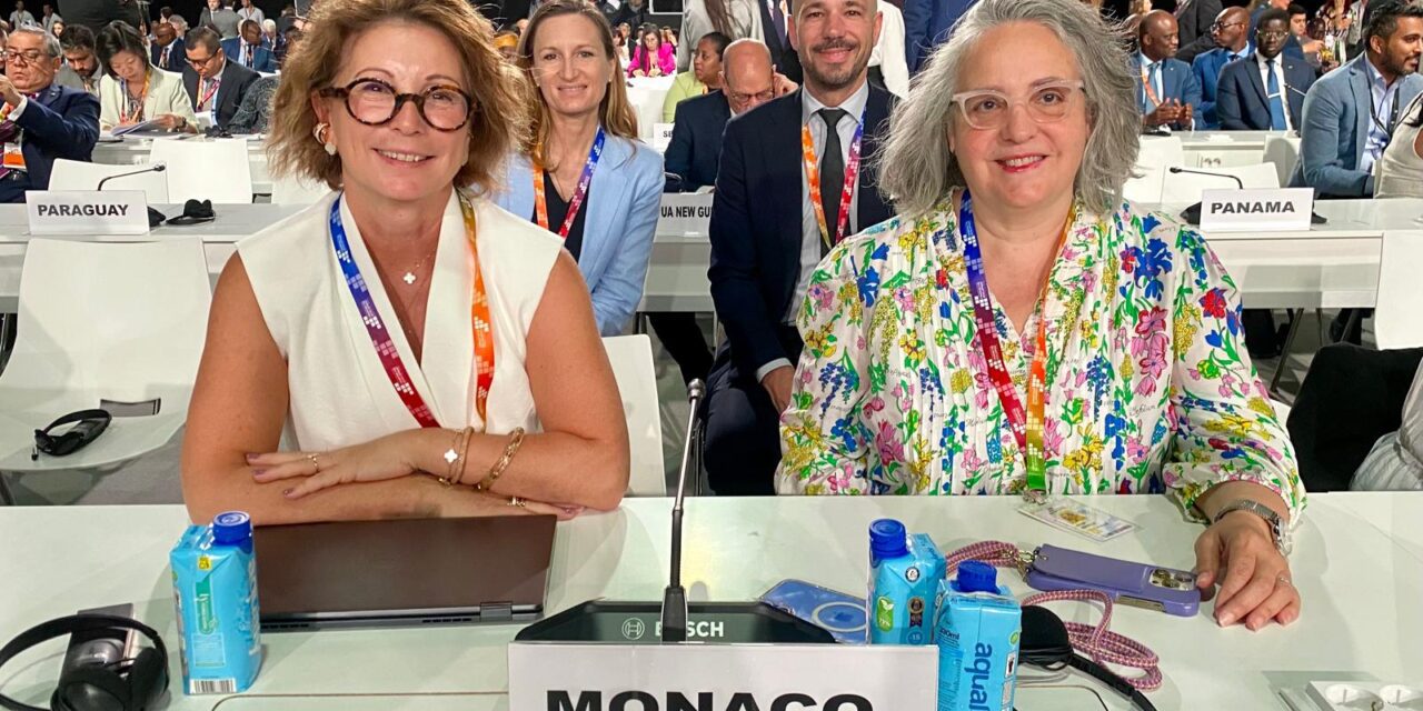 Monaco Reaffirms Global Solidarity at UN Development Finance Summit