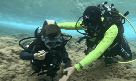 The Blue School offers a life-changing dive into confidence, community and the sea