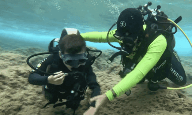 The Blue School offers a life-changing dive into confidence, community and the sea