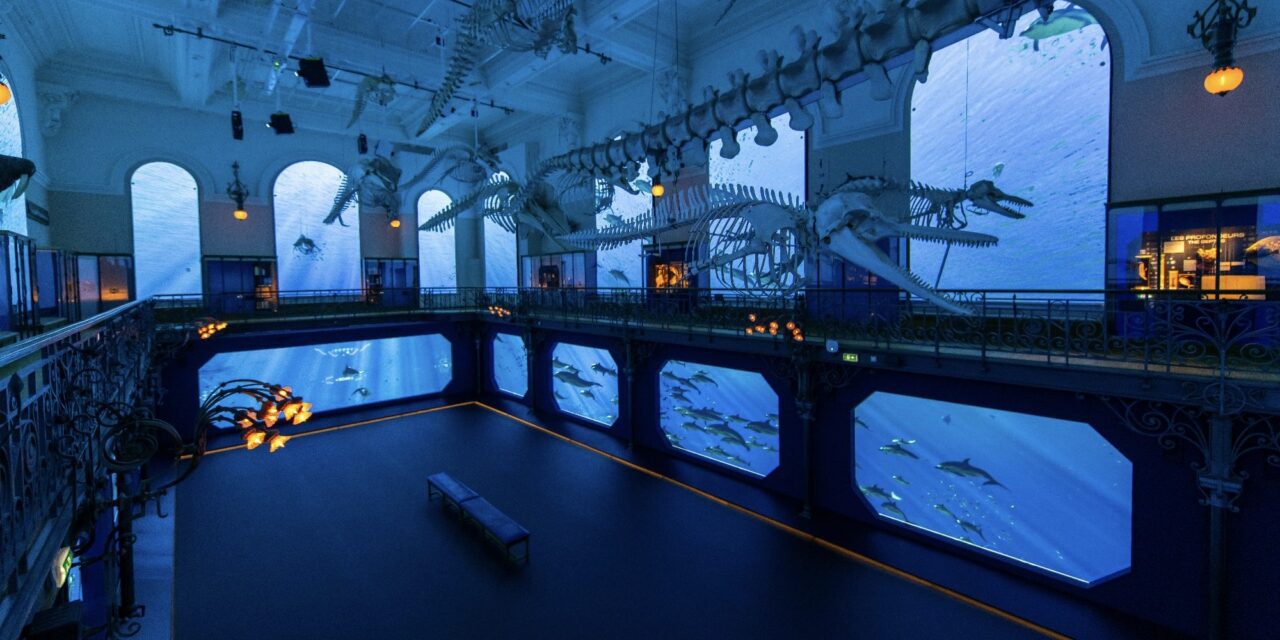 Monaco’s Oceanographic Institute launches marine adventure for families in need