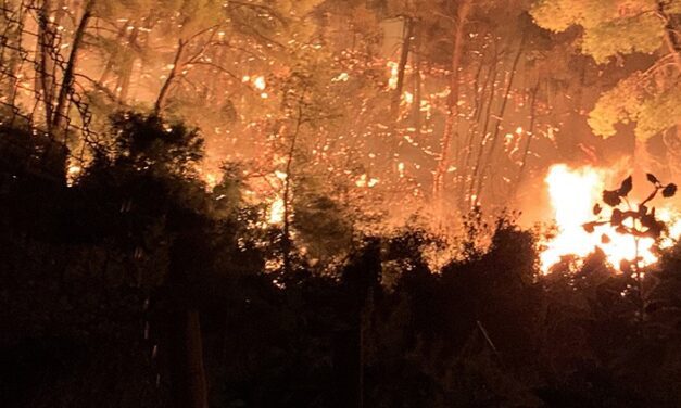 Prince Albert II pledges support as Iberian wildfires devastate Spain and Portugal